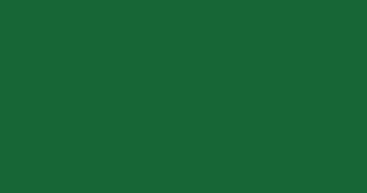 KDF Brand Green color swatch #166534